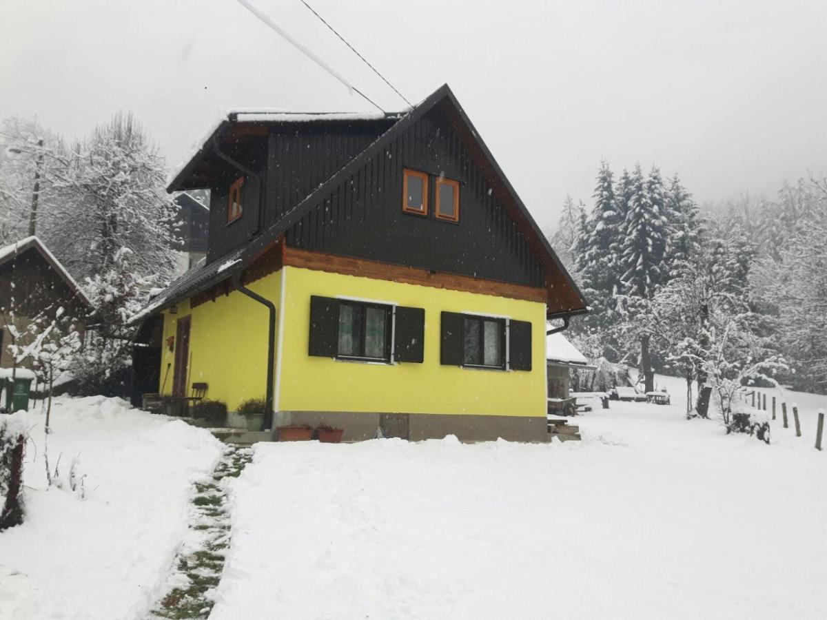 Kuca Za Odmor Forest Dream U Blizini Rijeke Kupe Plesce Zewnętrze zdjęcie