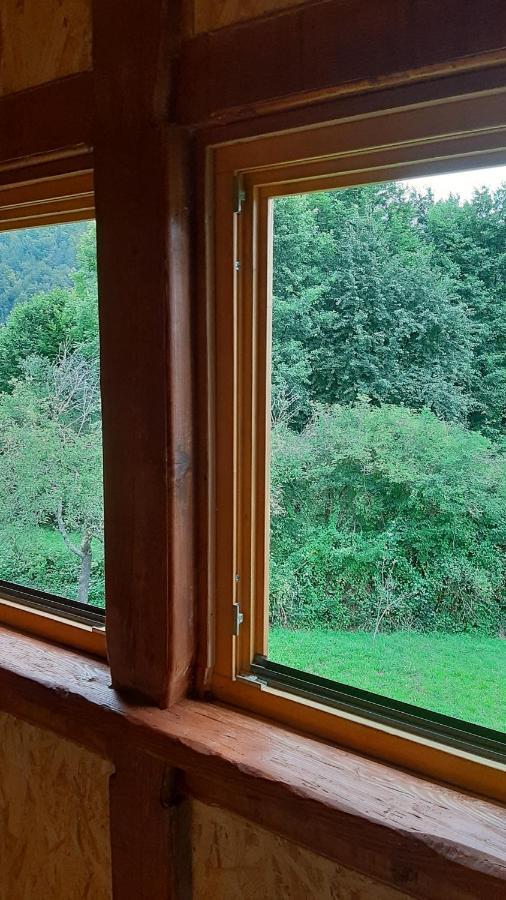 Kuca Za Odmor Forest Dream U Blizini Rijeke Kupe Plesce Zewnętrze zdjęcie