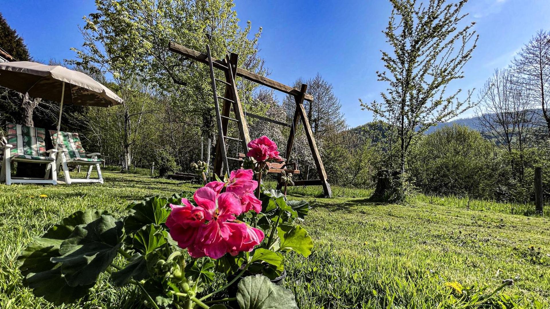 Kuca Za Odmor Forest Dream U Blizini Rijeke Kupe Plesce Zewnętrze zdjęcie