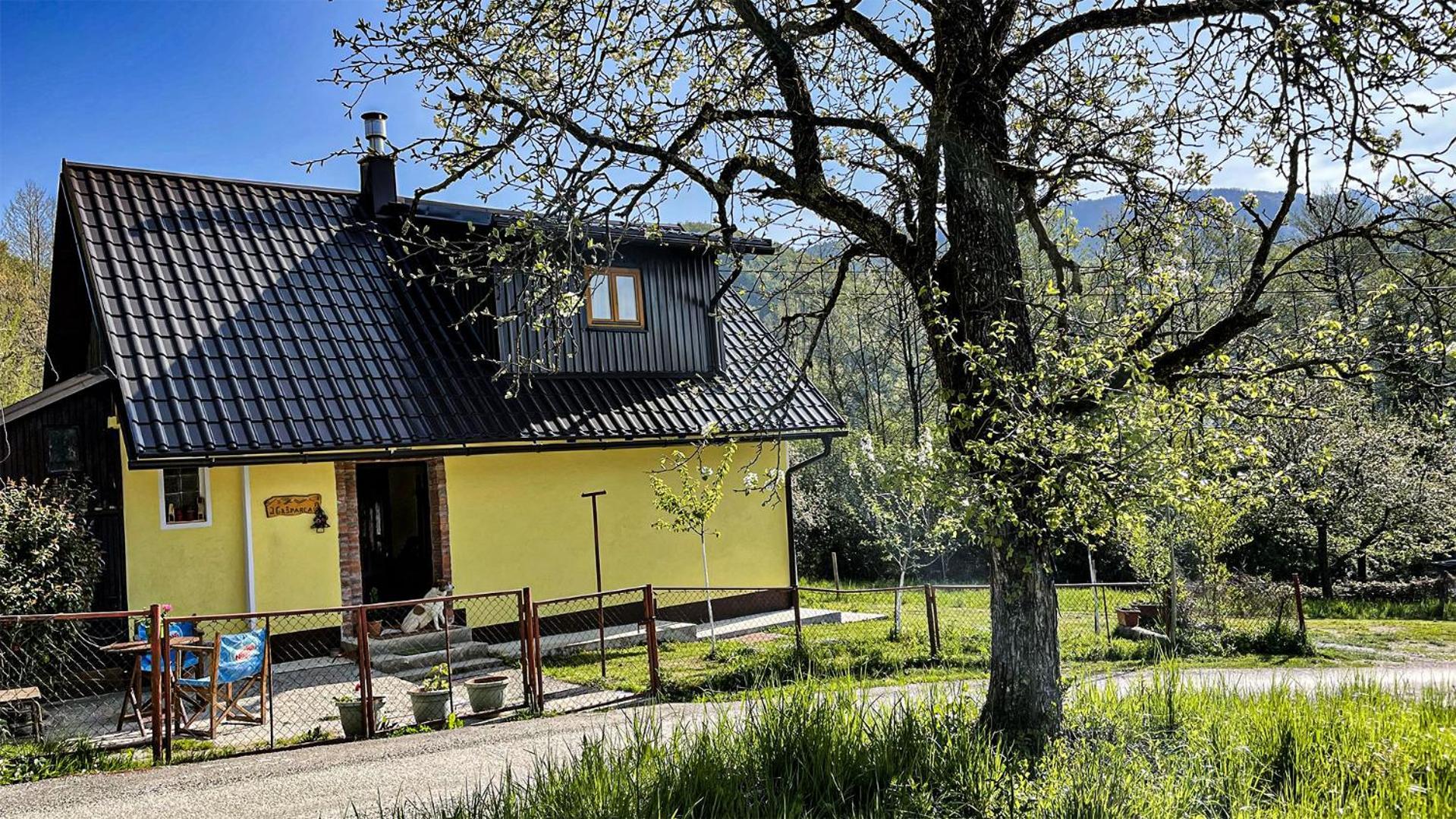 Kuca Za Odmor Forest Dream U Blizini Rijeke Kupe Plesce Zewnętrze zdjęcie