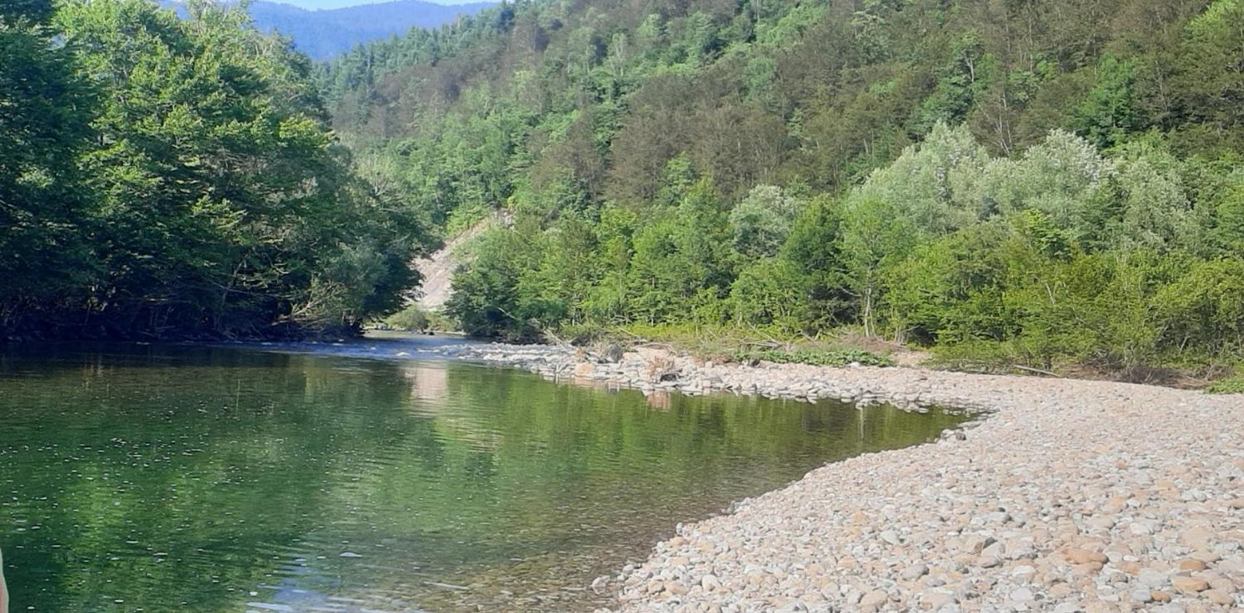 Kuca Za Odmor Forest Dream U Blizini Rijeke Kupe Plesce Zewnętrze zdjęcie